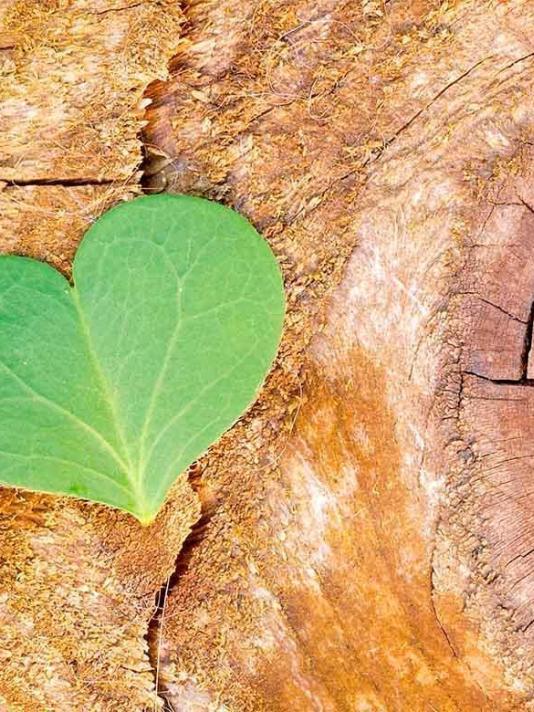 Less grey and more green