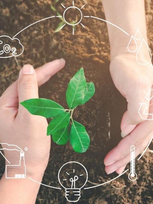 Why choose sustainable investments