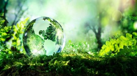 Christal globe in a forest