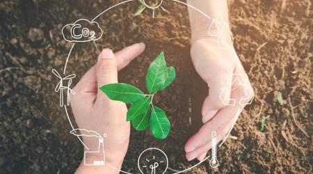 Why choose sustainable investments